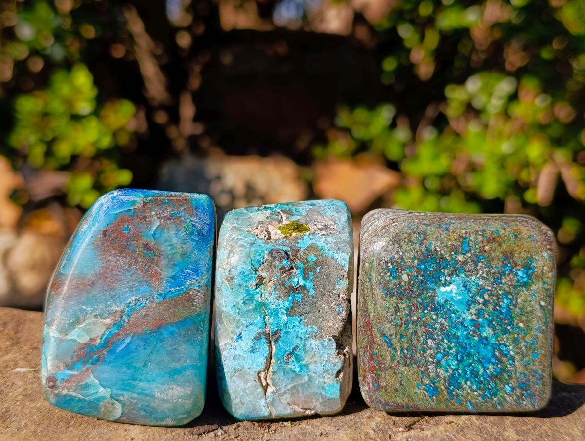 Polished Shattuckite Free Forms x 12 From Kaokoveld, Namibia - Toprock Gemstones and Minerals 