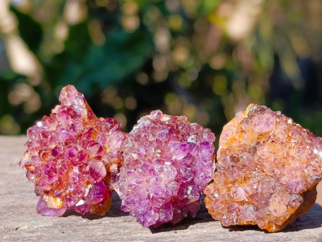 Natural Small Dark Purple Amethyst Crystal Clusters x 70 From Boekenhouthoek, South Africa - Toprock Gemstones and Minerals 