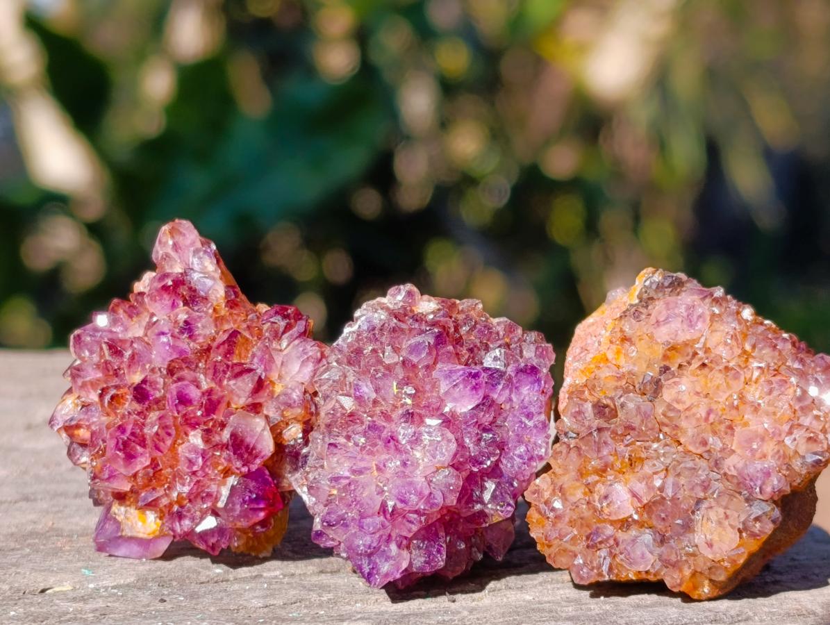 Natural Small Dark Purple Amethyst Crystal Clusters x 70 From Boekenhouthoek, South Africa - Toprock Gemstones and Minerals 