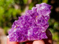 Natural Small Dark Purple Amethyst Crystal Clusters x 70 From Boekenhouthoek, South Africa - Toprock Gemstones and Minerals 