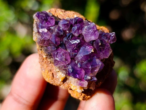 Natural Small Dark Purple Amethyst Crystal Clusters x 70 From Boekenhouthoek, South Africa - Toprock Gemstones and Minerals 