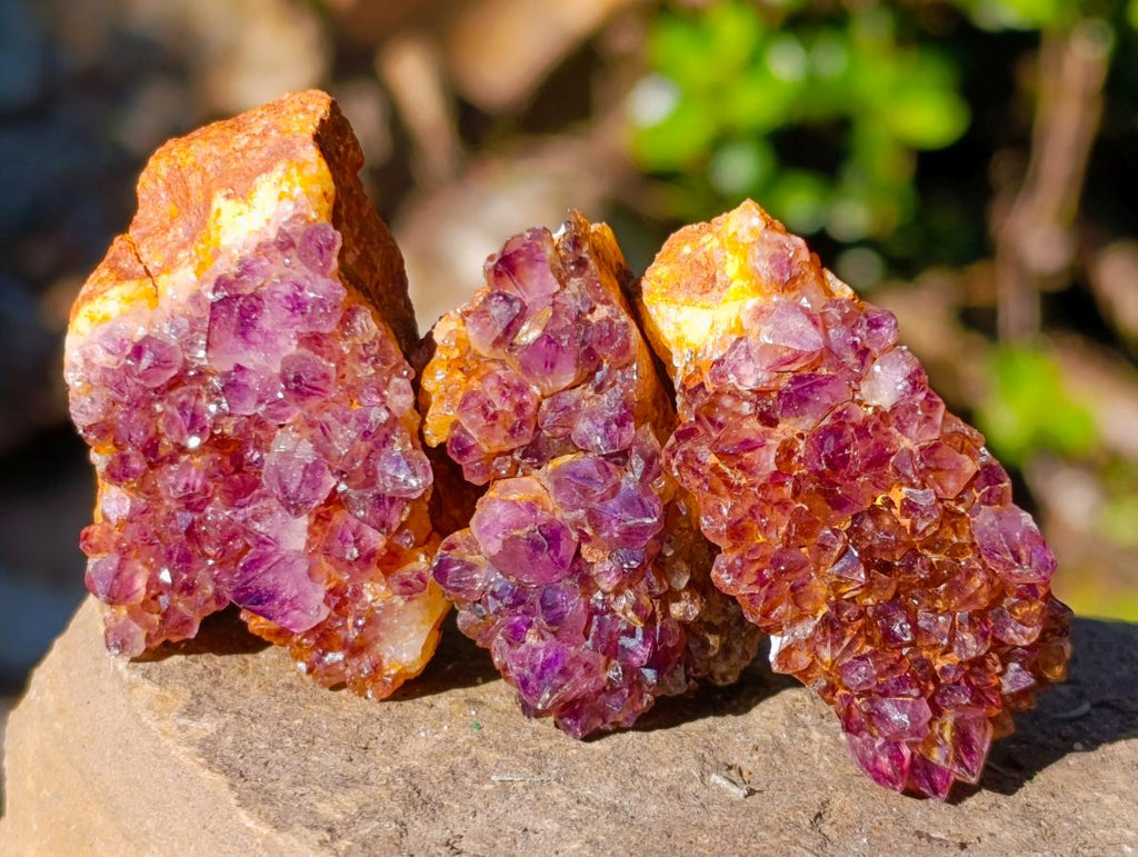 Natural Small Dark Purple Amethyst Crystal Clusters x 70 From Boekenhouthoek, South Africa - Toprock Gemstones and Minerals 