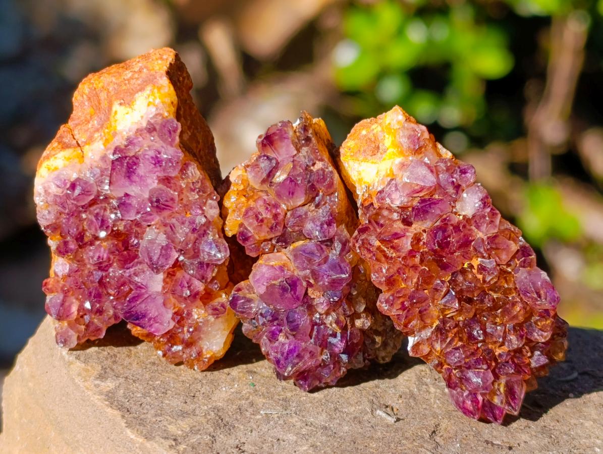 Natural Small Dark Purple Amethyst Crystal Clusters x 70 From Boekenhouthoek, South Africa - Toprock Gemstones and Minerals 