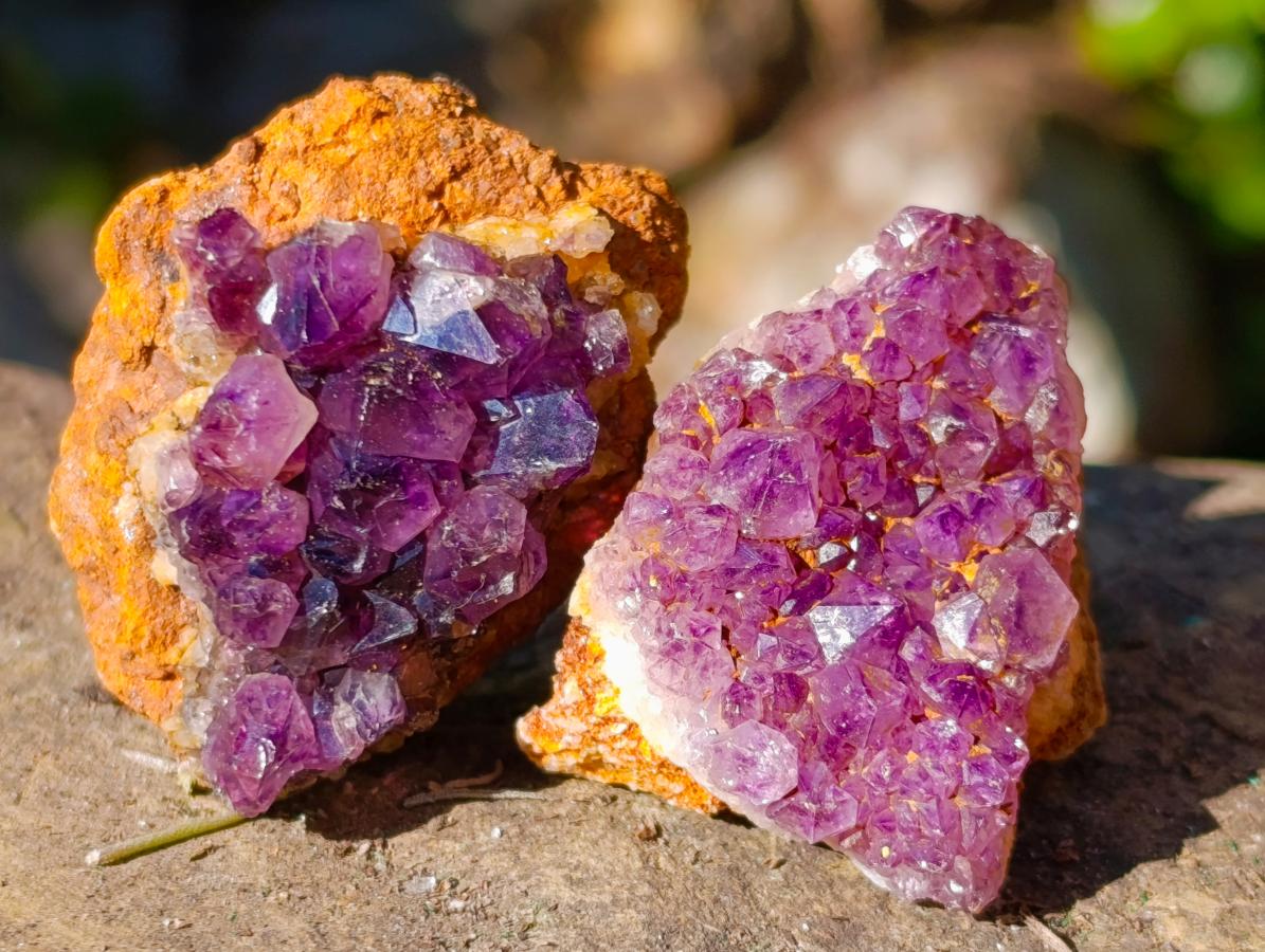Natural Small Dark Purple Amethyst Crystal Clusters x 70 From Boekenhouthoek, South Africa - Toprock Gemstones and Minerals 