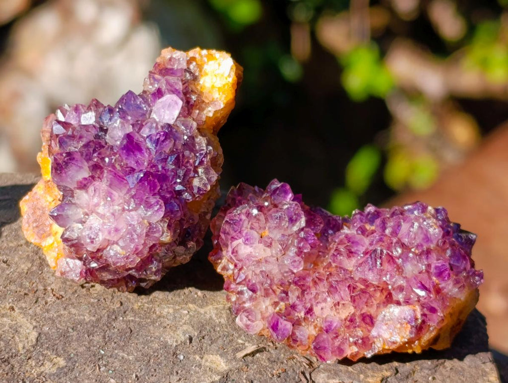 Natural Small Dark Purple Amethyst Crystal Clusters x 70 From Boekenhouthoek, South Africa - Toprock Gemstones and Minerals 