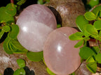 Polished Gemmy Rose Quartz Palm Stones x 35 From Madagascar - Toprock Gemstones and Minerals 