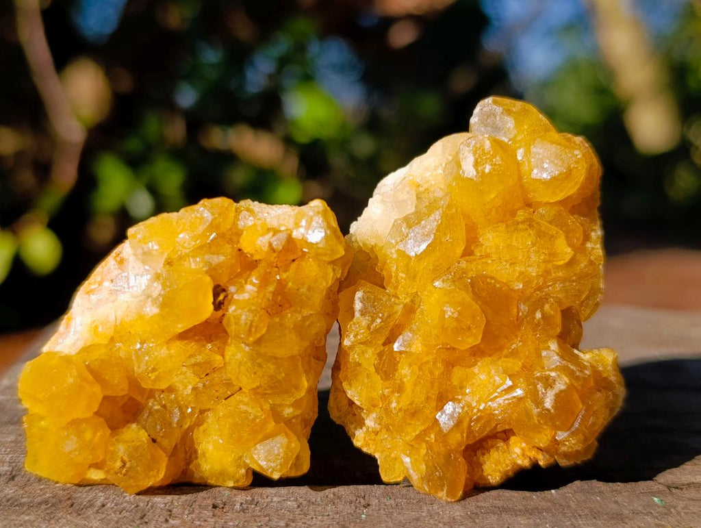 Natural Golden Limonite Quartz Crystal Clusters x 35 From Solwezi, Zambia - Toprock Gemstones and Minerals 