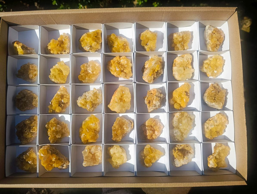 Natural Golden Limonite Quartz Crystal Clusters x 35 From Solwezi, Zambia - Toprock Gemstones and Minerals 