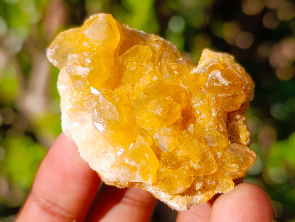 Natural Golden Limonite Quartz Crystal Clusters x 35 From Solwezi, Zambia - Toprock Gemstones and Minerals 