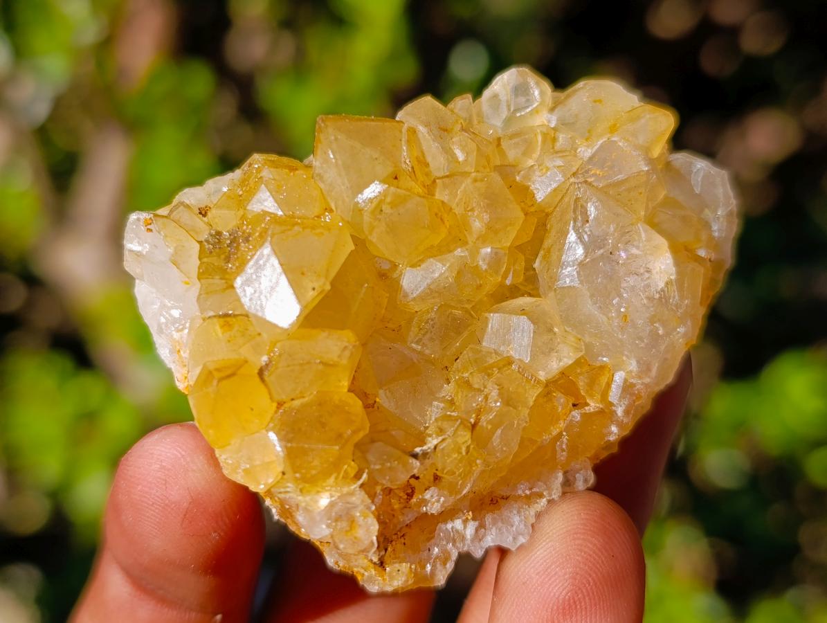 Natural Golden Limonite Quartz Crystal Clusters x 35 From Solwezi, Zambia - Toprock Gemstones and Minerals 
