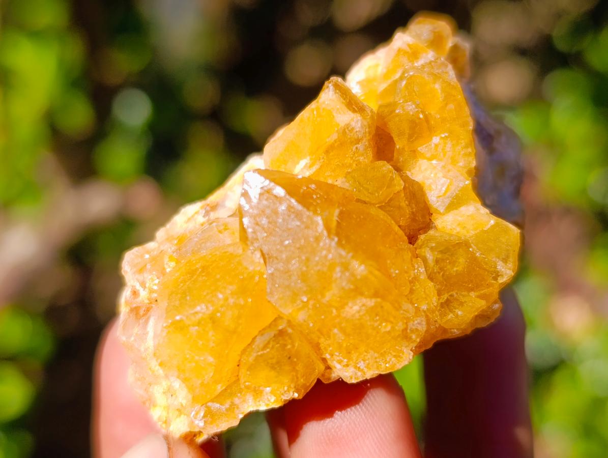 Natural Golden Limonite Quartz Crystal Clusters x 35 From Solwezi, Zambia - Toprock Gemstones and Minerals 