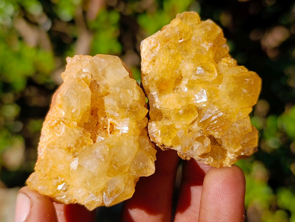 Natural Golden Limonite Quartz Crystal Clusters x 35 From Solwezi, Zambia - Toprock Gemstones and Minerals 