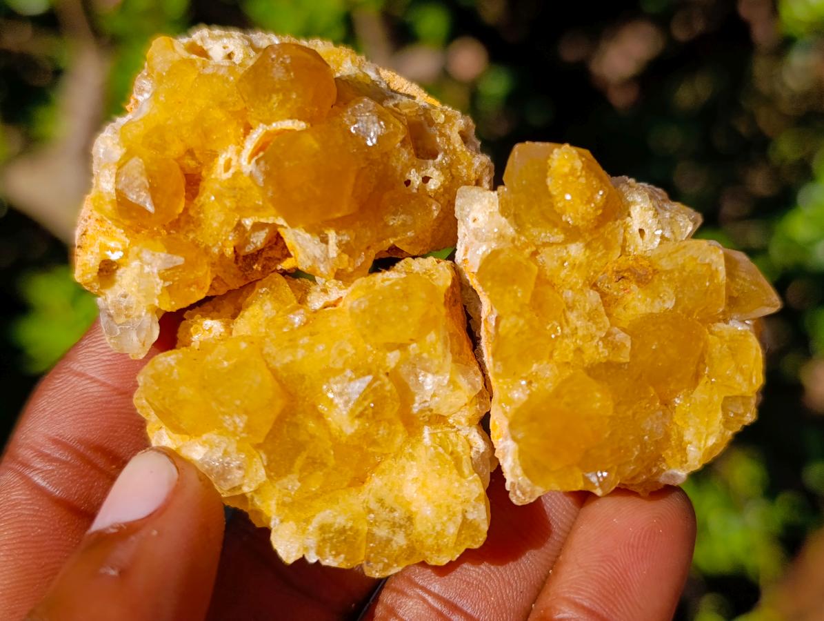 Natural Golden Limonite Quartz Crystal Clusters x 35 From Solwezi, Zambia - Toprock Gemstones and Minerals 
