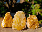 Natural Golden Limonite Quartz Crystal Clusters x 35 From Solwezi, Zambia - Toprock Gemstones and Minerals 
