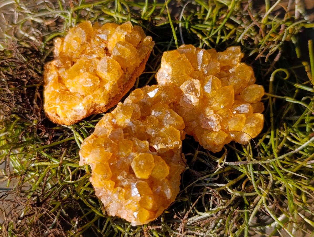 Natural Golden Limonite Quartz Crystal Clusters x 35 From Solwezi, Zambia - Toprock Gemstones and Minerals 