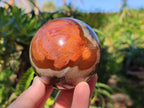 Polished Polychrome Jasper Spheres x 4 From NW Coast, Madagascar - Toprock Gemstones and Minerals 
