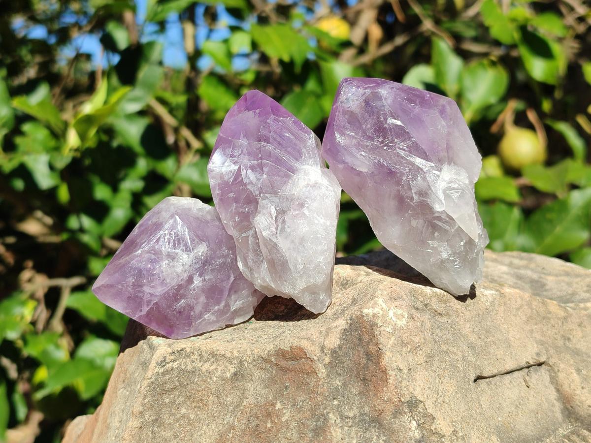 Polished Jacaranda Amethyst Crystals x 12 From Mumbwa, Zambia - Toprock Gemstones and Minerals 