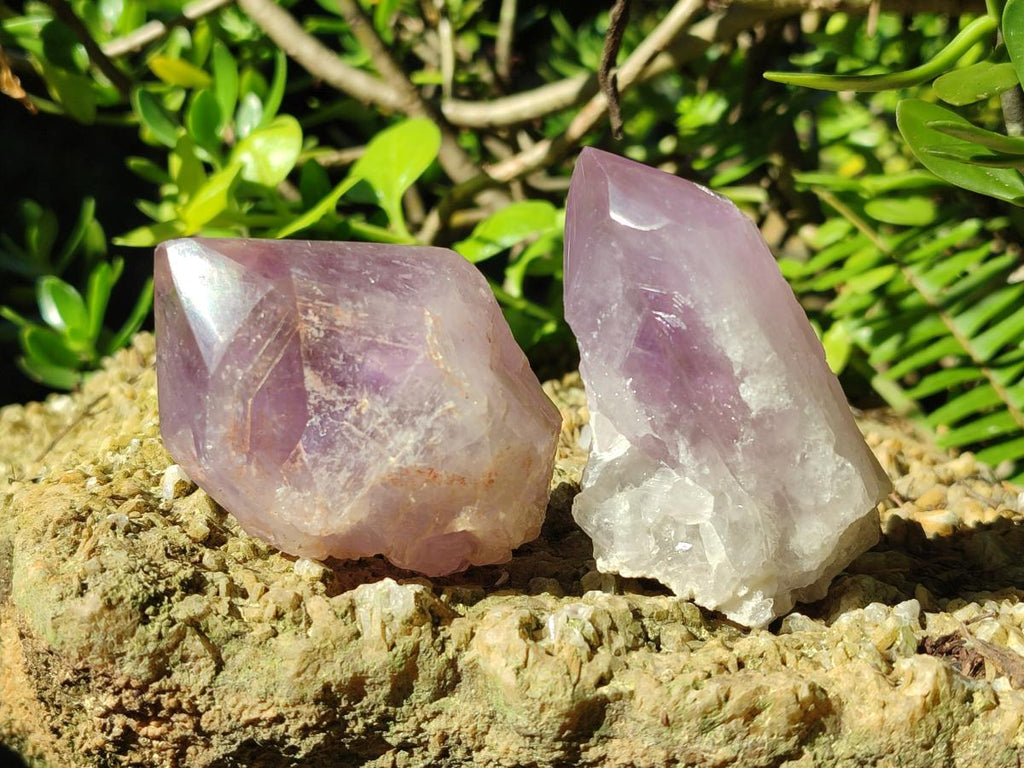 Polished Jacaranda Amethyst Crystals x 12 From Mumbwa, Zambia - Toprock Gemstones and Minerals 