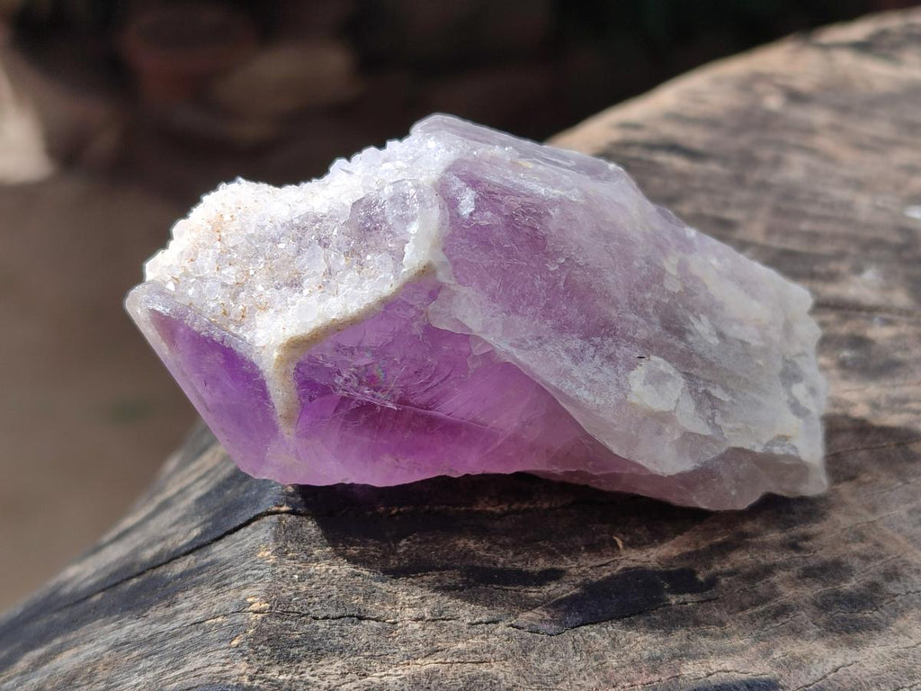 Polished Jacaranda Amethyst Crystals x 12 From Mumbwa, Zambia - Toprock Gemstones and Minerals 