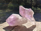 Polished Jacaranda Amethyst Crystals x 12 From Mumbwa, Zambia - Toprock Gemstones and Minerals 