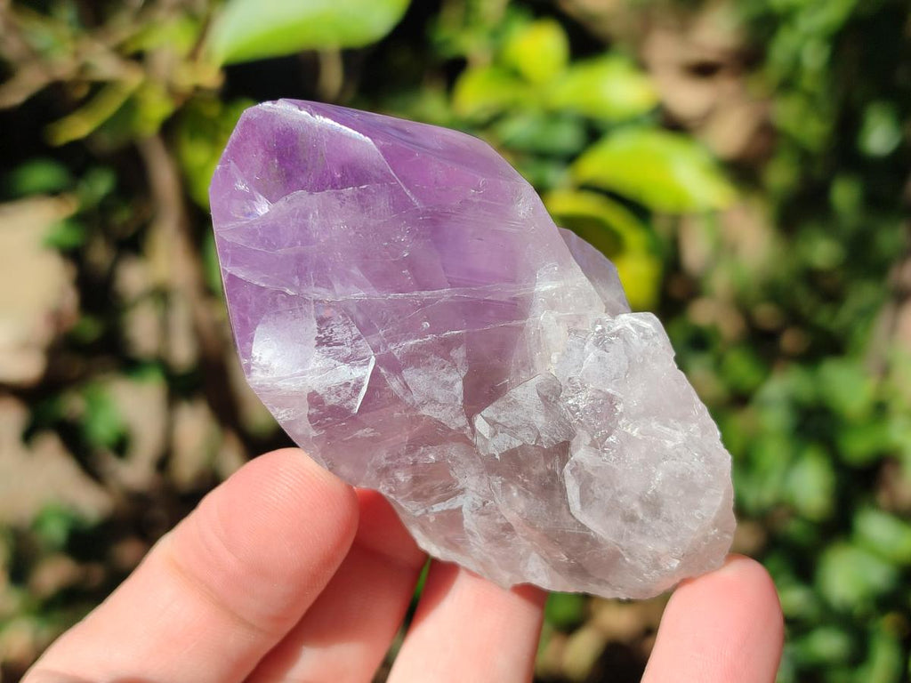 Polished Jacaranda Amethyst Crystals x 12 From Mumbwa, Zambia - Toprock Gemstones and Minerals 