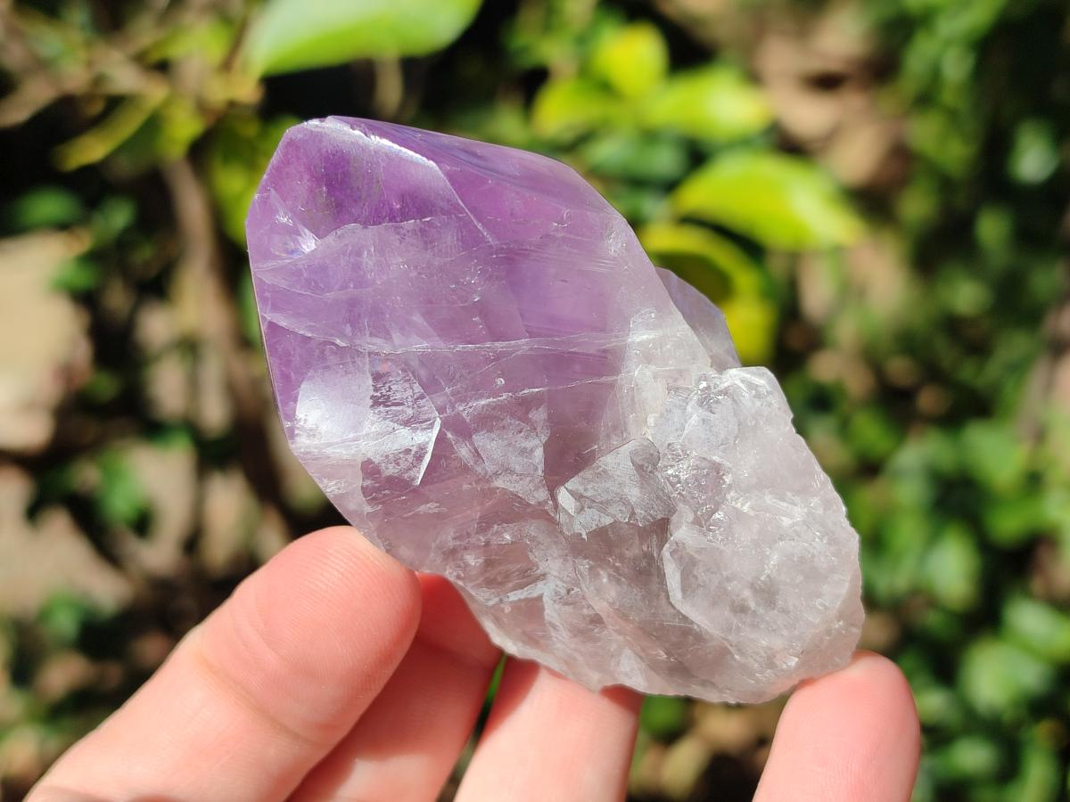 Polished Jacaranda Amethyst Crystals x 12 From Mumbwa, Zambia - Toprock Gemstones and Minerals 