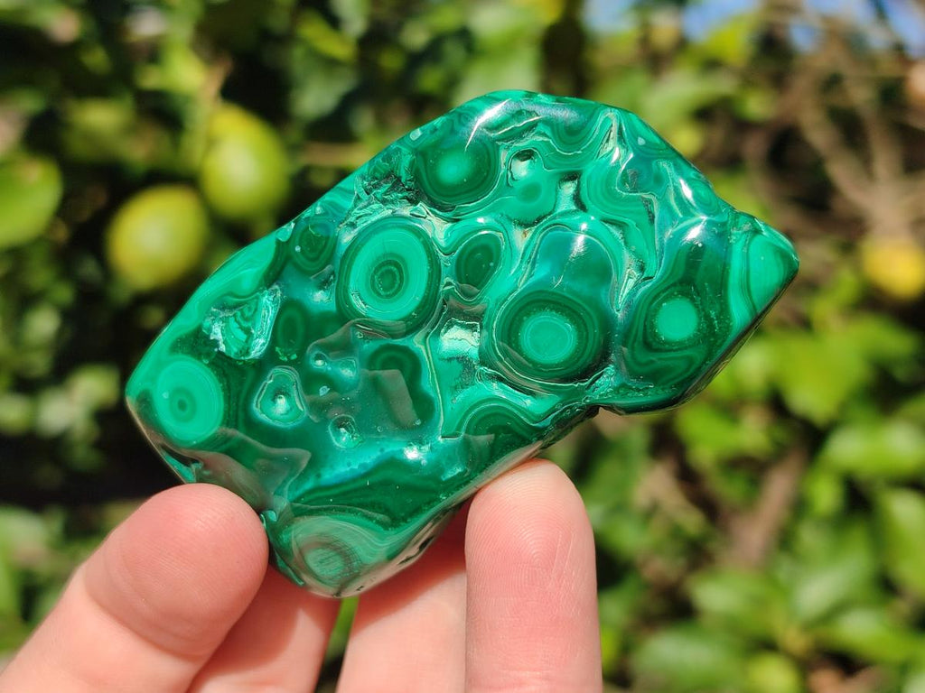 Polished Malacolla Free Forms x 6 From Kulukuluku, Congo - Toprock Gemstones and Minerals 