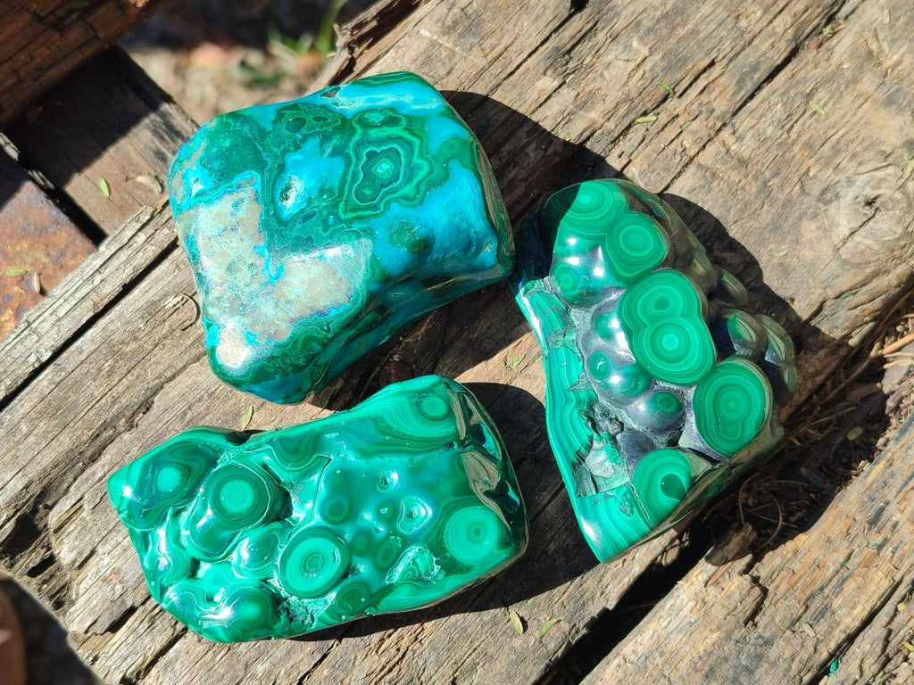 Polished Malacolla Free Forms x 6 From Kulukuluku, Congo - Toprock Gemstones and Minerals 