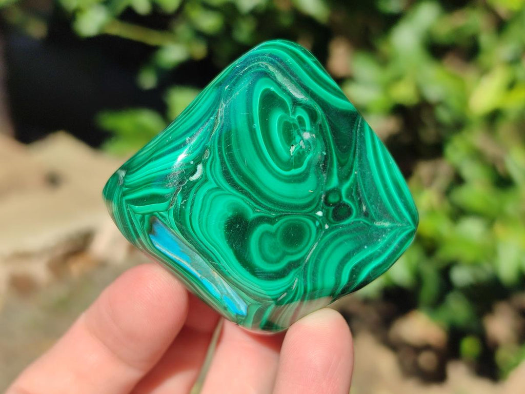 Polished Malacolla Free Forms x 6 From Kulukuluku, Congo - Toprock Gemstones and Minerals 
