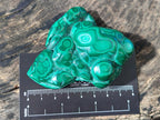 Polished Malacolla Free Forms x 6 From Kulukuluku, Congo - Toprock Gemstones and Minerals 