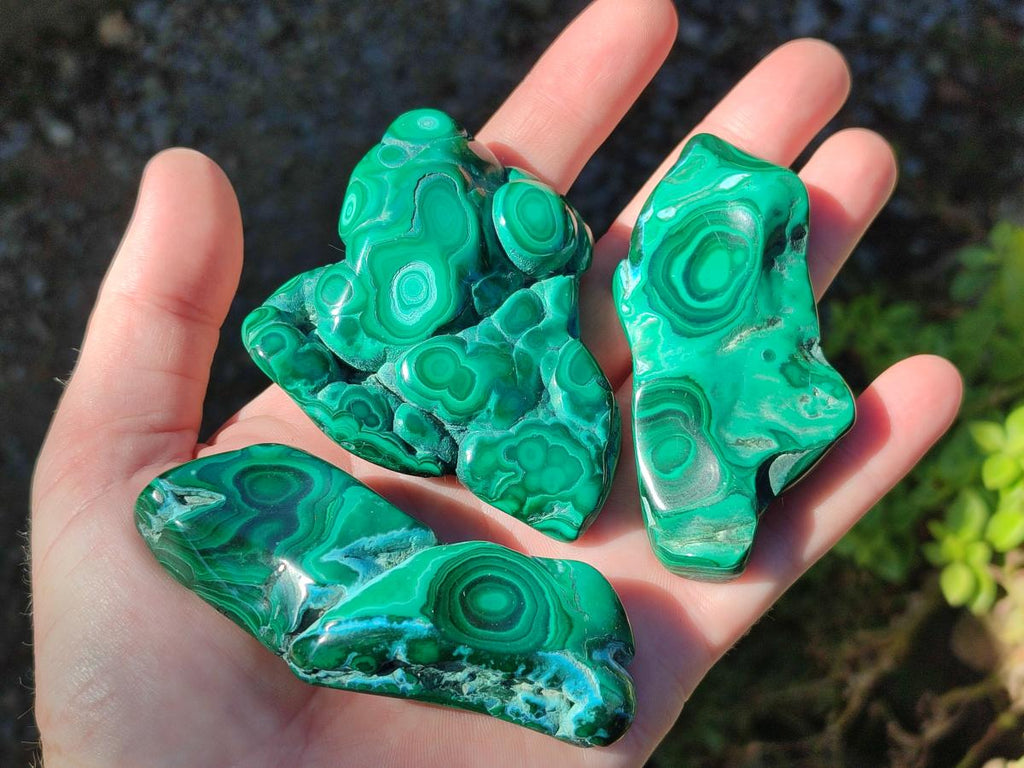 Polished Malacolla Free Forms x 6 From Kulukuluku, Congo - Toprock Gemstones and Minerals 