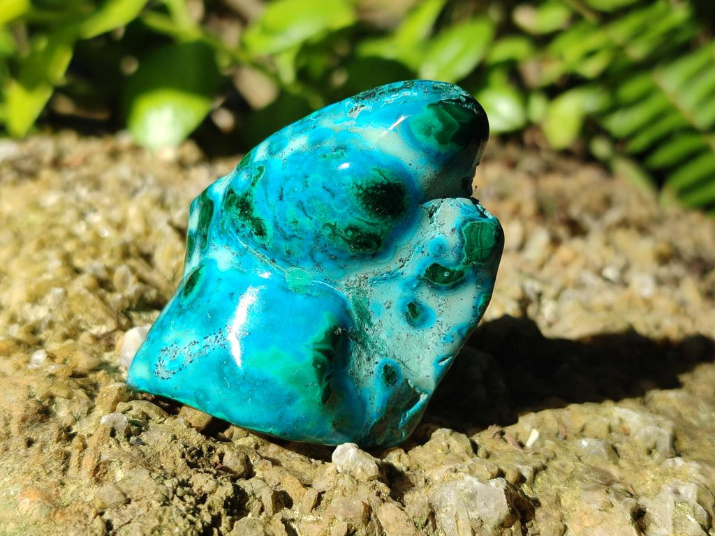 Polished Malacolla Free Forms x 6 From Kulukuluku, Congo - Toprock Gemstones and Minerals 