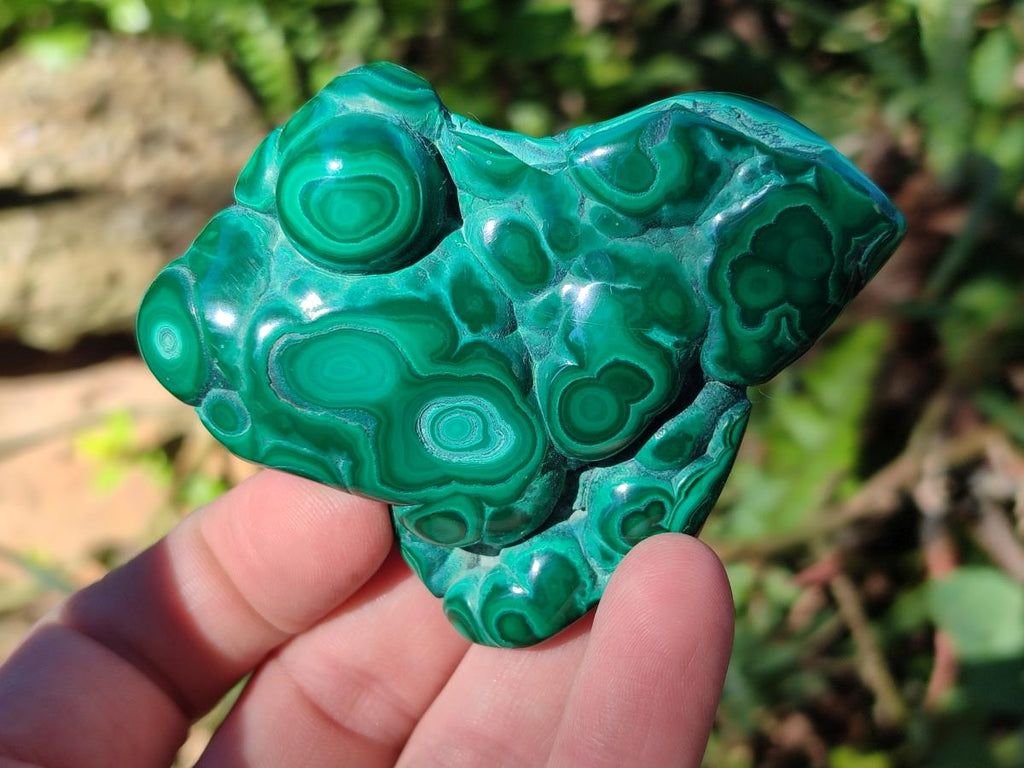 Polished Malacolla Free Forms x 6 From Kulukuluku, Congo - Toprock Gemstones and Minerals 