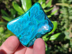 Polished Malacolla Free Forms x 6 From Kulukuluku, Congo - Toprock Gemstones and Minerals 