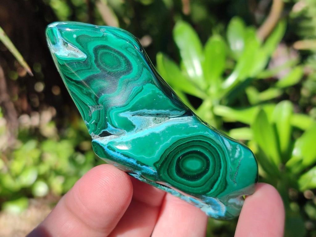 Polished Malacolla Free Forms x 6 From Kulukuluku, Congo - Toprock Gemstones and Minerals 