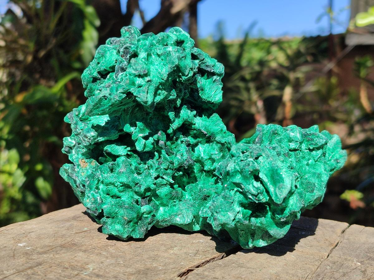 Natural Large Cabinet Size Silky Malachite Specimen x 1 From Kasompe, Congo - Toprock Gemstones and Minerals 