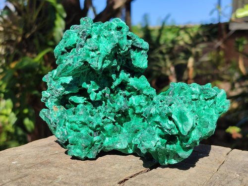 Natural Large Cabinet Size Silky Malachite Specimen x 1 From Kasompe, Congo - Toprock Gemstones and Minerals 