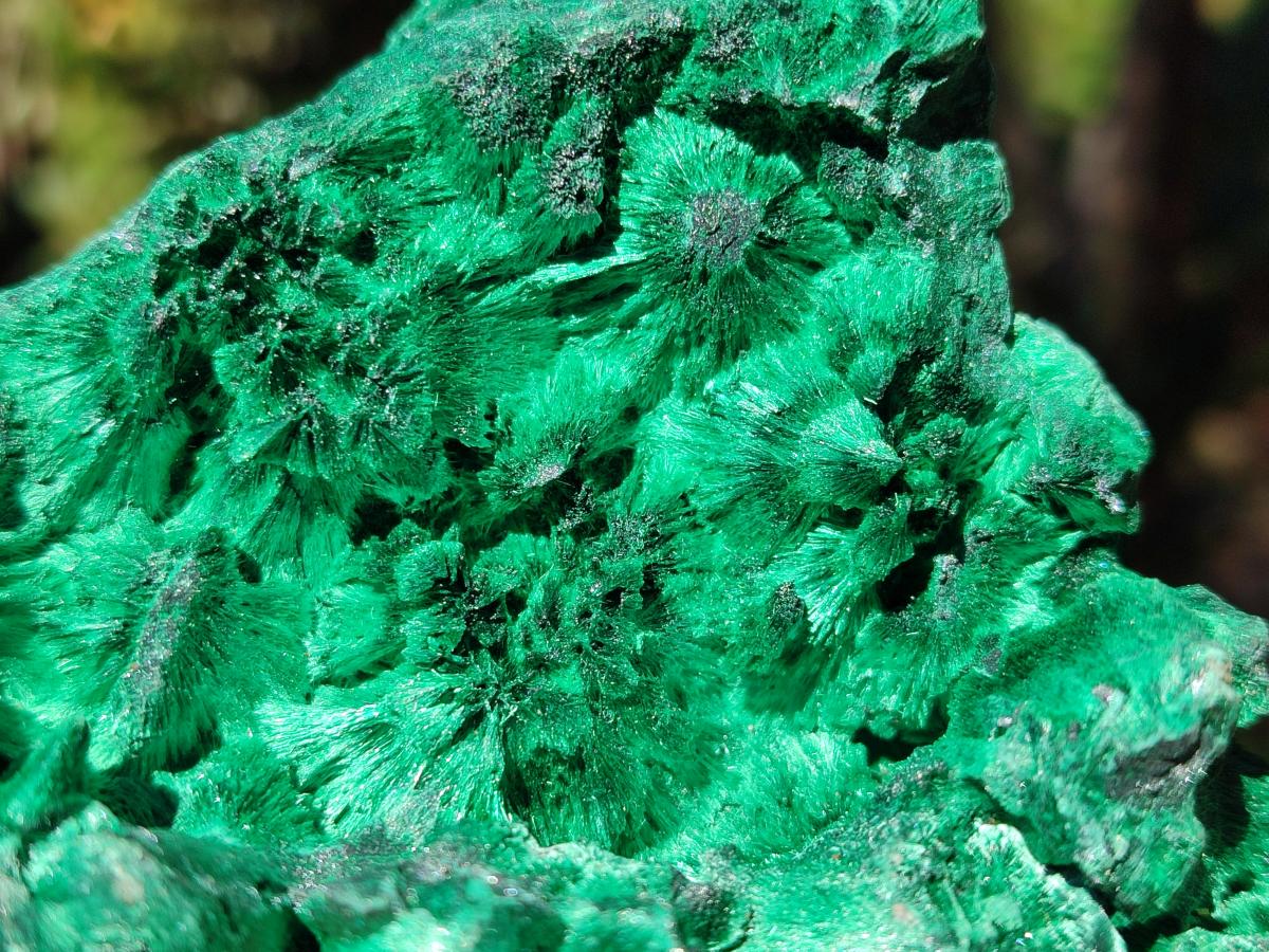 Natural Large Cabinet Size Silky Malachite Specimen x 1 From Kasompe, Congo - Toprock Gemstones and Minerals 