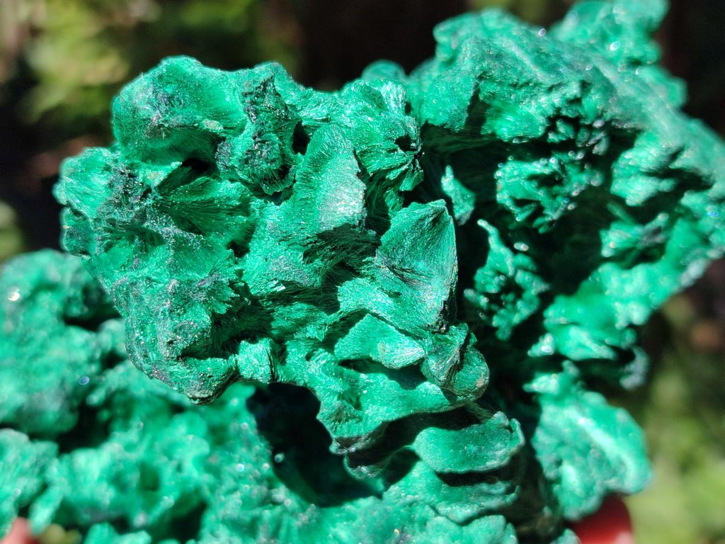 Natural Large Cabinet Size Silky Malachite Specimen x 1 From Kasompe, Congo - Toprock Gemstones and Minerals 