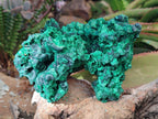 Natural Large Cabinet Size Silky Malachite Specimen x 1 From Kasompe, Congo - Toprock Gemstones and Minerals 