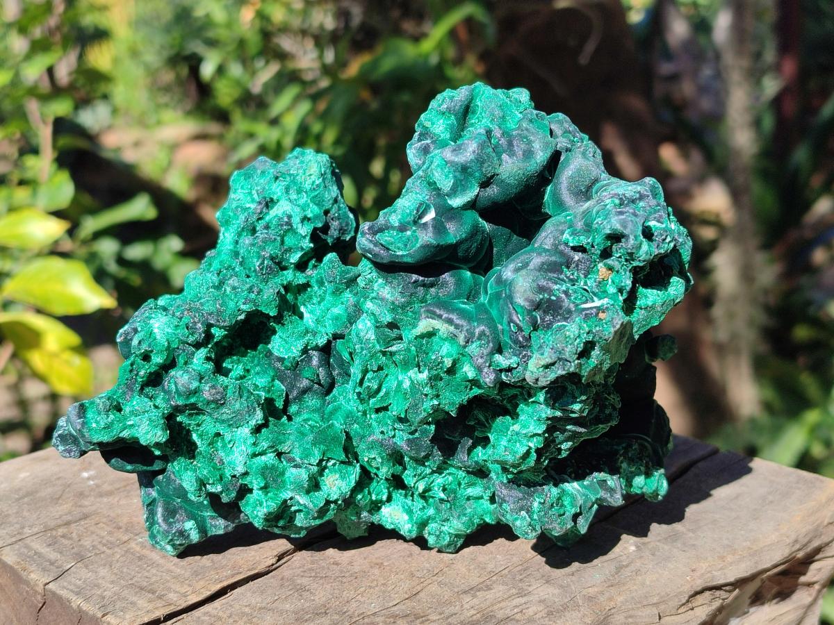 Natural Large Cabinet Size Silky Malachite Specimen x 1 From Kasompe, Congo - Toprock Gemstones and Minerals 