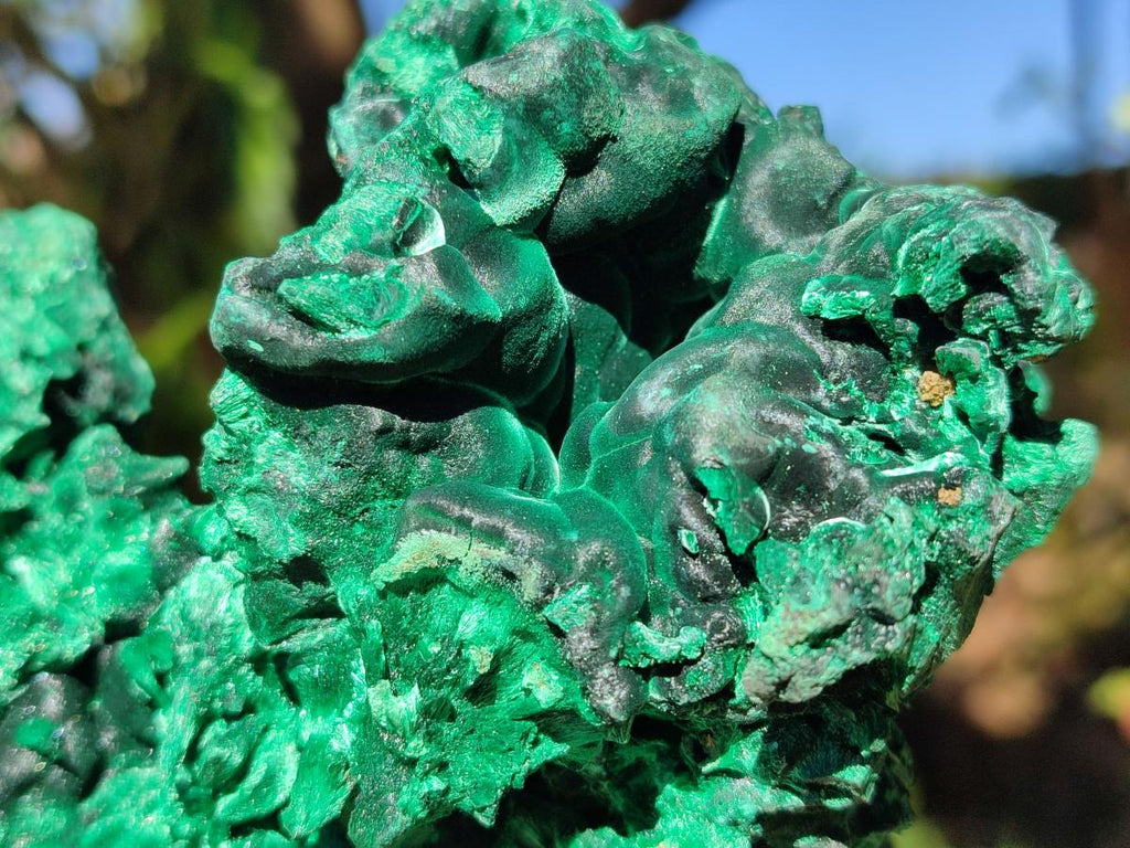 Natural Large Cabinet Size Silky Malachite Specimen x 1 From Kasompe, Congo - Toprock Gemstones and Minerals 