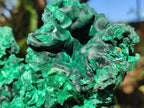 Natural Large Cabinet Size Silky Malachite Specimen x 1 From Kasompe, Congo - Toprock Gemstones and Minerals 