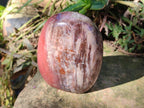 Polished Red Podocarpus Petrified Wood Standing Display Pieces x 3 From Mahajanga, Madagascar - Toprock Gemstones and Minerals 