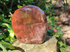 Polished Red Podocarpus Petrified Wood Standing Display Pieces x 3 From Mahajanga, Madagascar - Toprock Gemstones and Minerals 