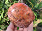 Polished Red Podocarpus Petrified Wood Standing Display Pieces x 3 From Mahajanga, Madagascar - Toprock Gemstones and Minerals 