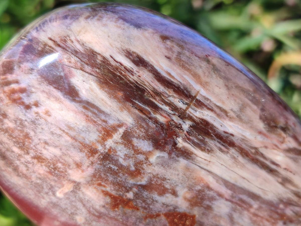 Polished Red Podocarpus Petrified Wood Standing Display Pieces x 3 From Mahajanga, Madagascar - Toprock Gemstones and Minerals 
