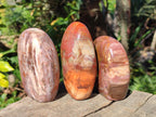Polished Red Podocarpus Petrified Wood Standing Display Pieces x 3 From Mahajanga, Madagascar - Toprock Gemstones and Minerals 
