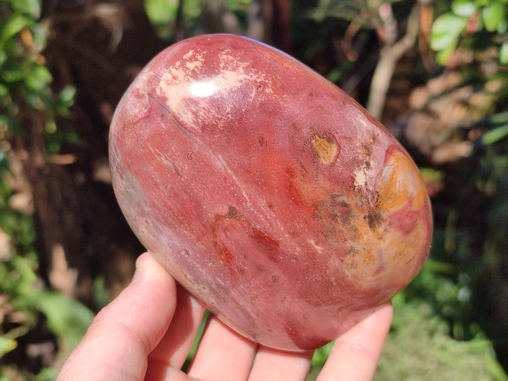 Polished Red Podocarpus Petrified Wood Standing Display Pieces x 3 From Mahajanga, Madagascar - Toprock Gemstones and Minerals 