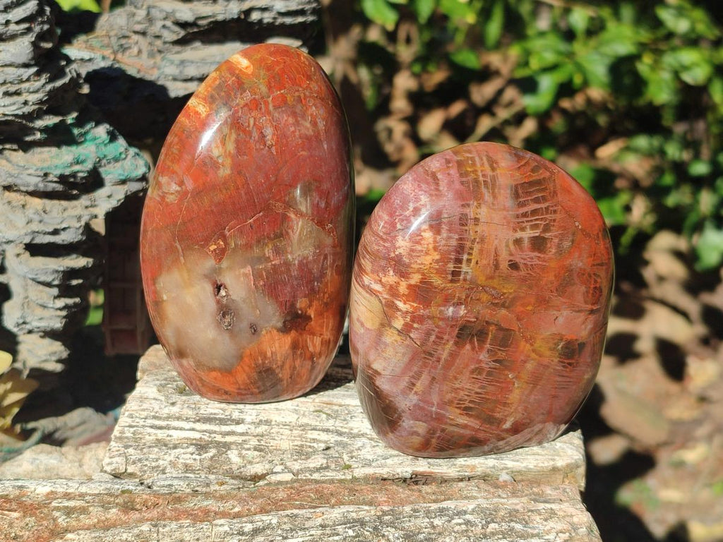 Polished Red Podocarpus Petrified Wood Standing Display Pieces x 3 From Mahajanga, Madagascar - Toprock Gemstones and Minerals 